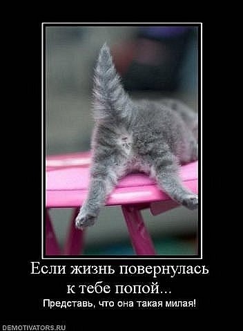 Взлёт 71, шаг 4