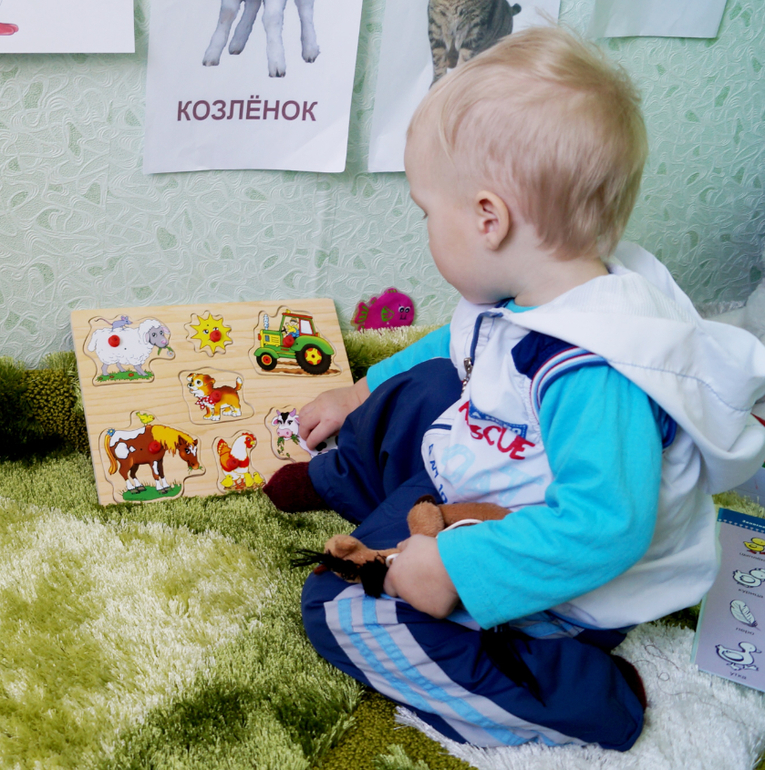 день повятили изучению домашних животных и тех, что живут в деревне)