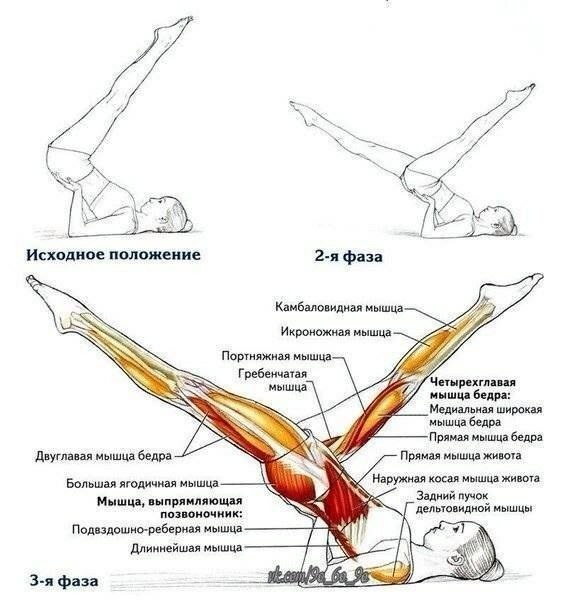 День 6. Физические нагрузки, ч. 2