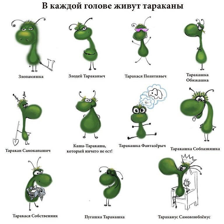 У кого какие таракашки!? )))