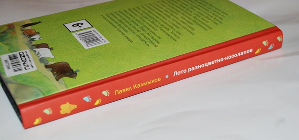 Лето разноцветно-косолапое.