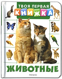 Книжный шкаф (наши книги)