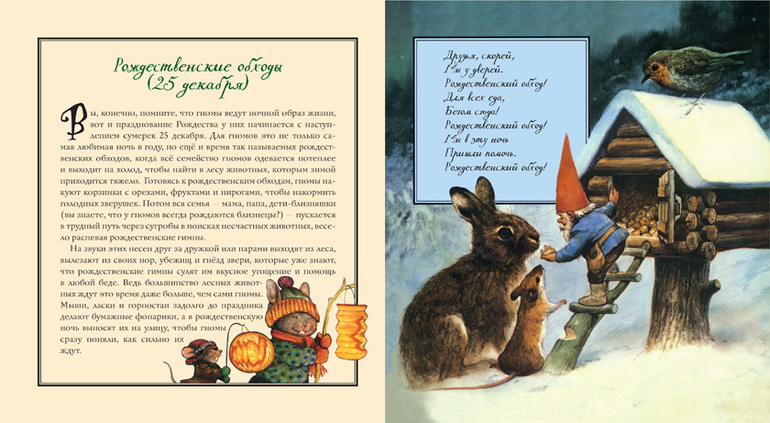 Книга - Рождество гномов!