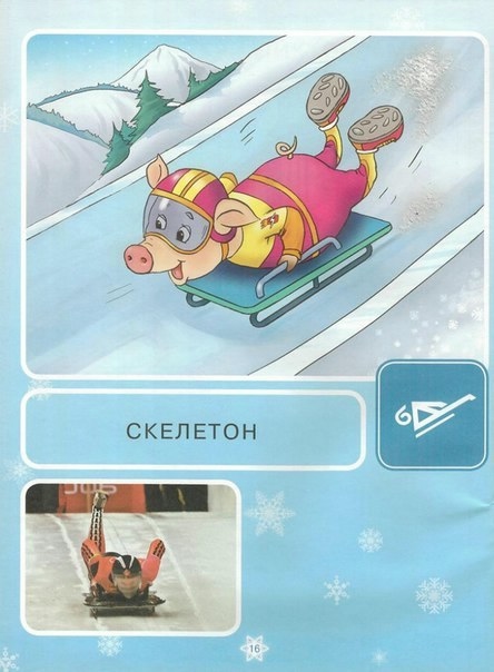 Зимние виды спорта