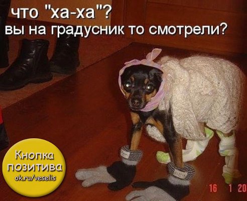 Улыбнуло