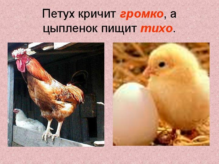 ТН