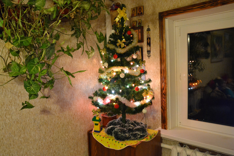 Наш Новый год 2014!