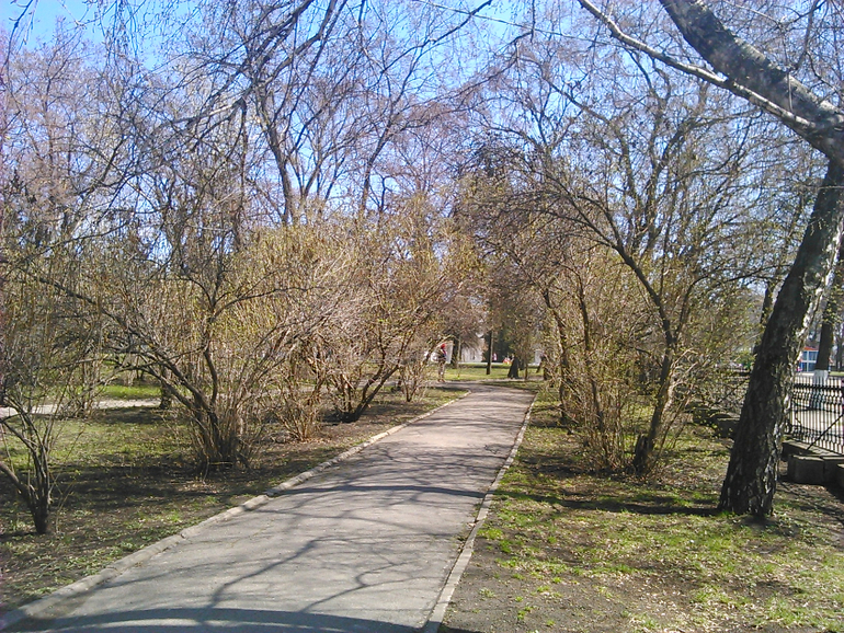 Прогулка по городу