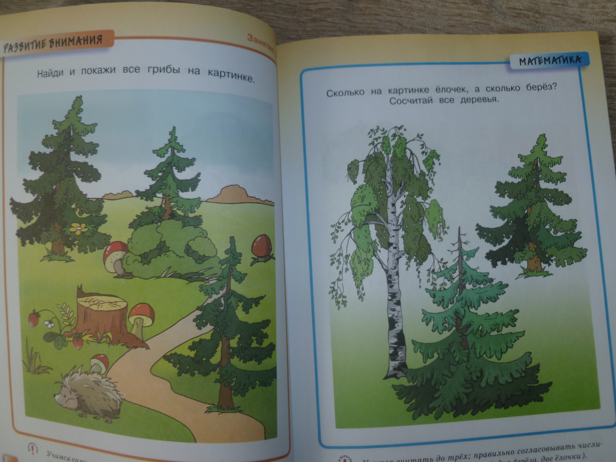 ТН "Деревья" 3 день.
