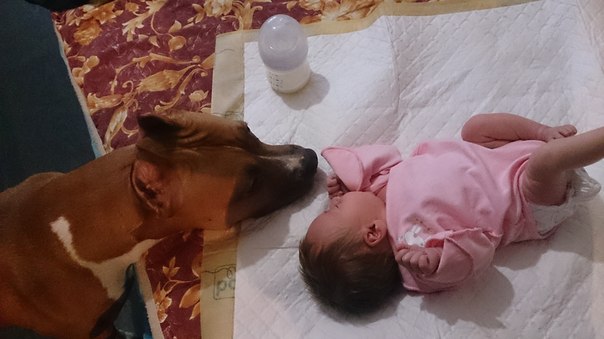 Наша дочка и Стаффорд