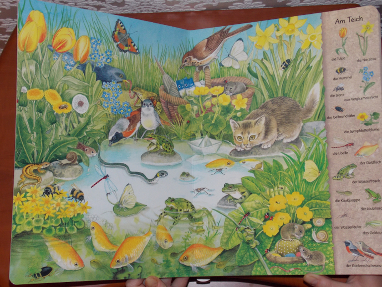 Развороты Mein erstes Wimmelbuch - Hecke und Garten