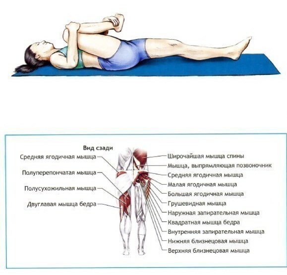 День 6. Физические нагрузки, ч. 2