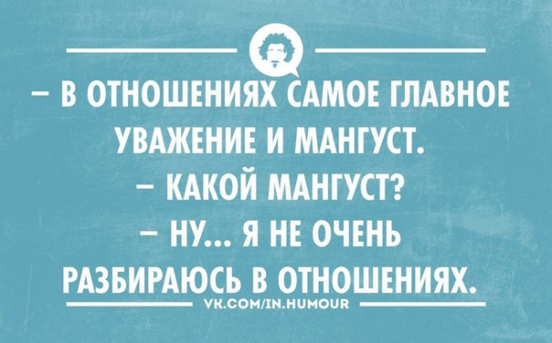 Главное мангуст)