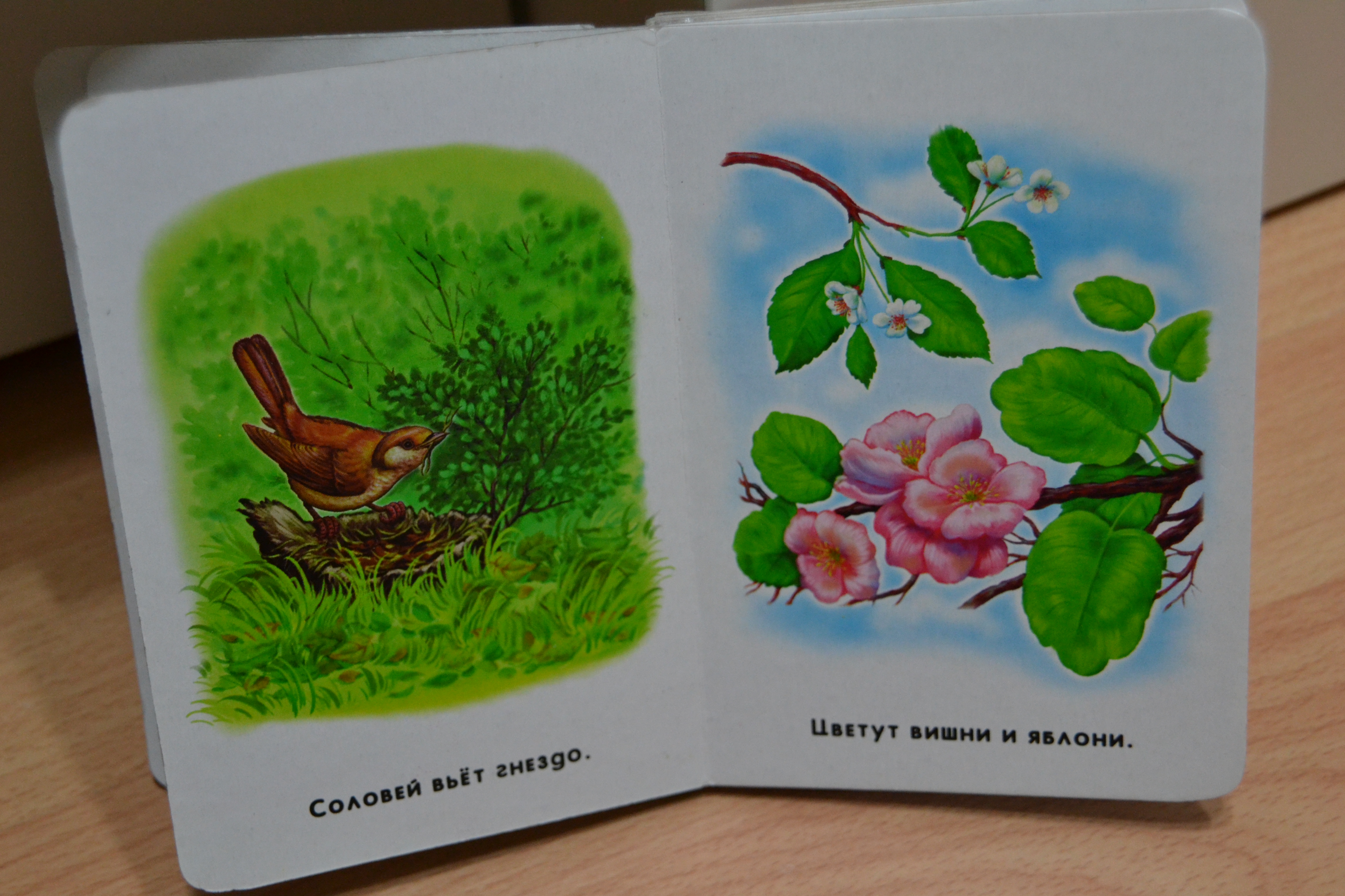 Весеннии книги