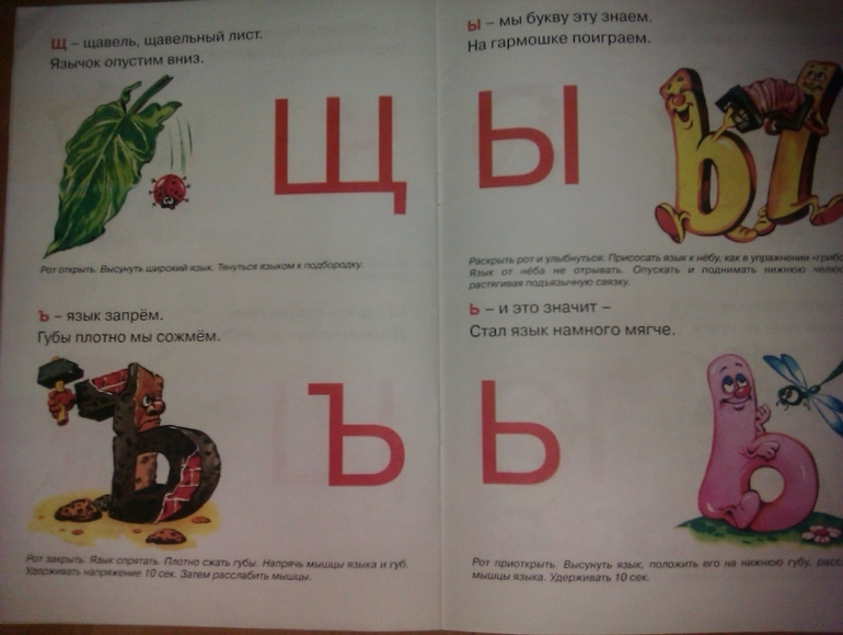 книги для зарядки язычка