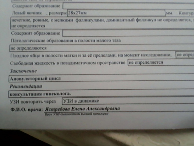 Результаты УЗИ! АНОВУЛЯТОРНЫЙ ЦИКЛ!