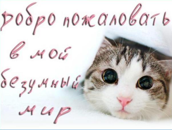 Добро пожаловать))