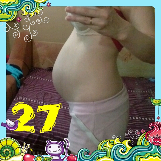 27 недель. поход к Г