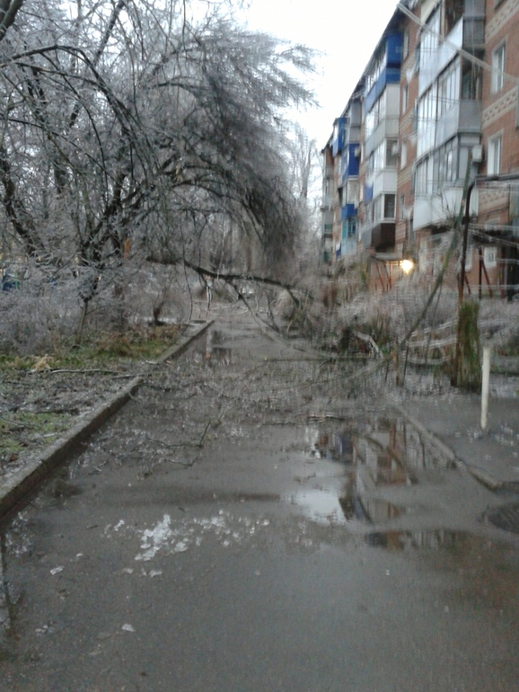 Зима в Краснодаре!