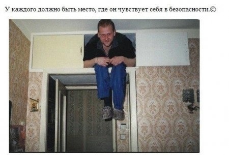 О кошках и не только...