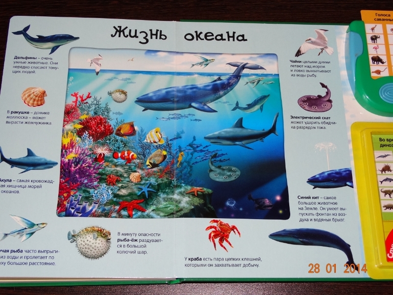 Замечательная книга по очень низкой цене!