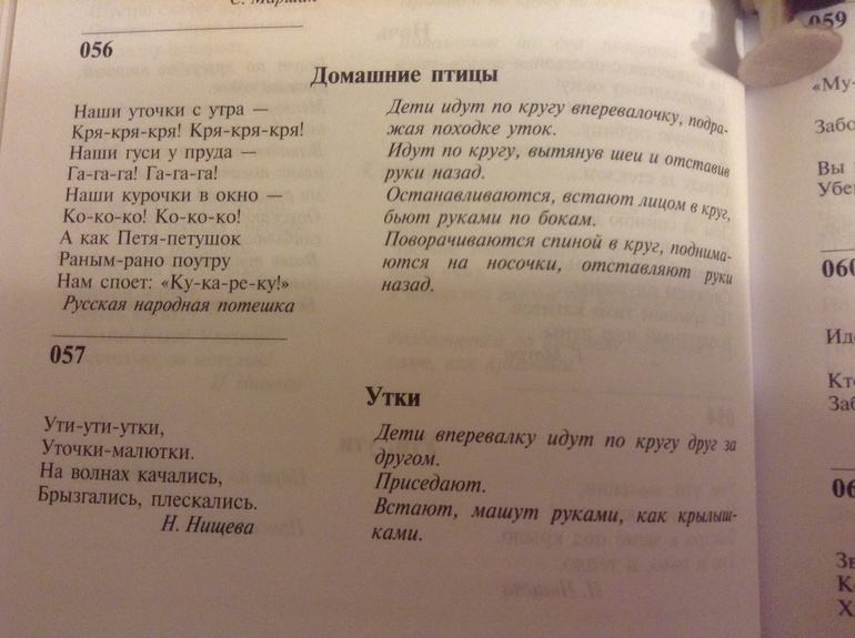 Домашние птицы