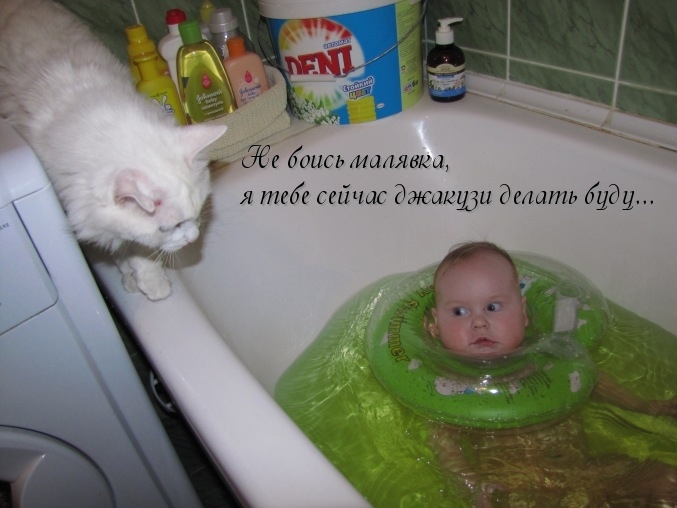 О ребятах и зверятах...