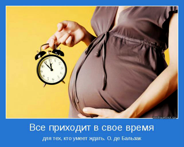 Мои предвестники.