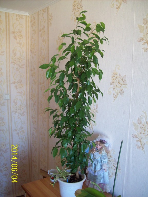 Вопросик