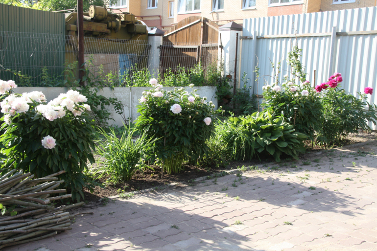 Мульчирование, проба