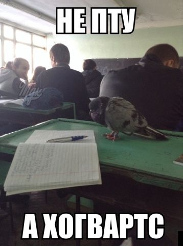 Немного позитива.