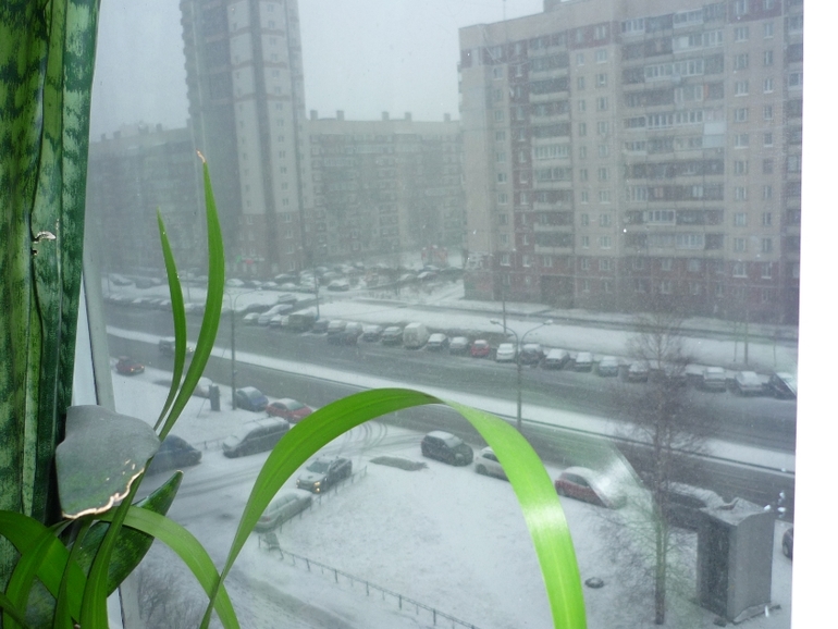 Вот такая весна сегодня