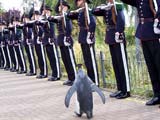 Каждый кузнечик своего счастья