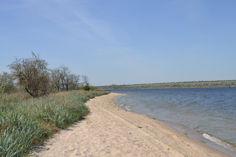 В гости к черепахе