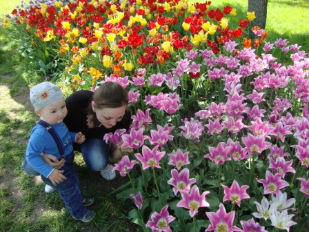 Дендропарк цветет