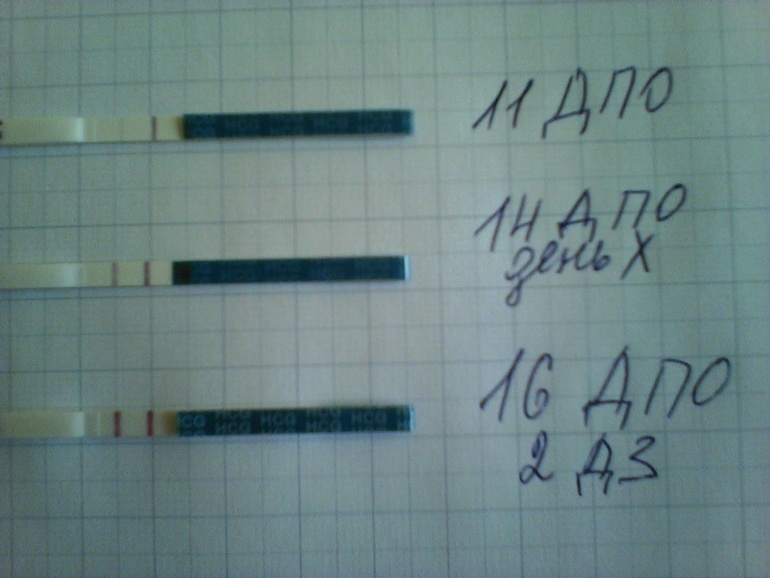 Итак, динамика)))