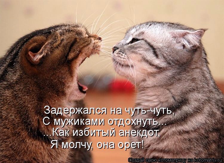 Веселые картинки увидеть не хотите ли... ;)