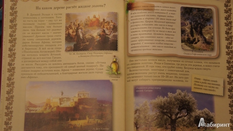 "Прогулки по лесу", "Прогулки по саду" изд "Белый город"