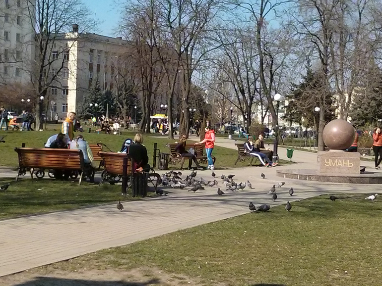 Тимофейкин денёк