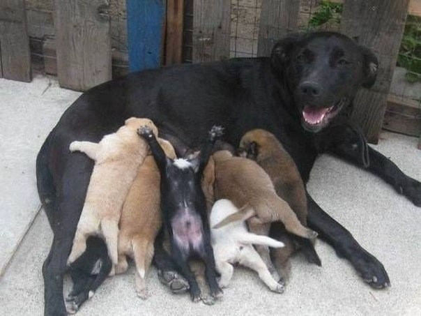 Втиснулся)))