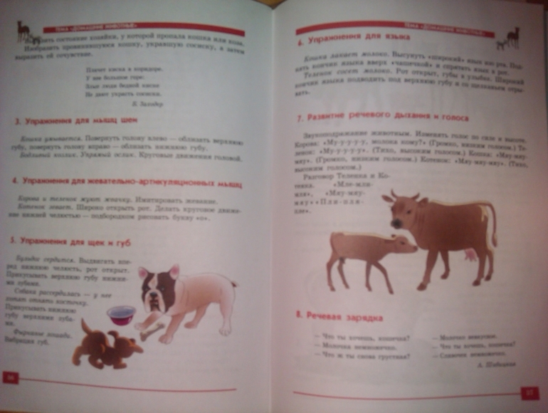 книги для зарядки язычка