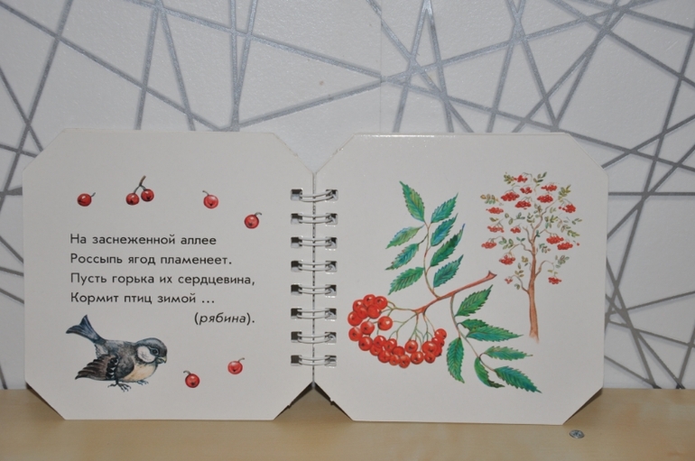 d88772212b2ddb676fbf621d226bd5a6.jpg