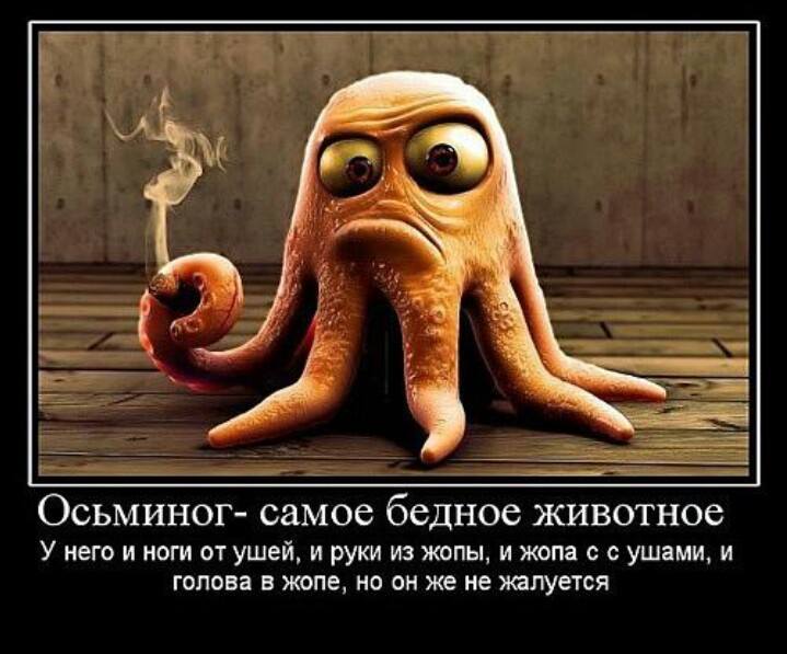 Не жалуйтесь на недостатки свои:)))