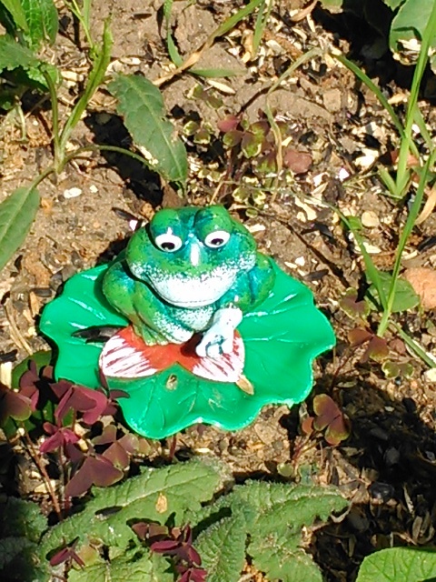Не моя приманочка.....