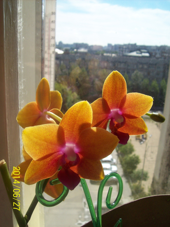 Покажемся.