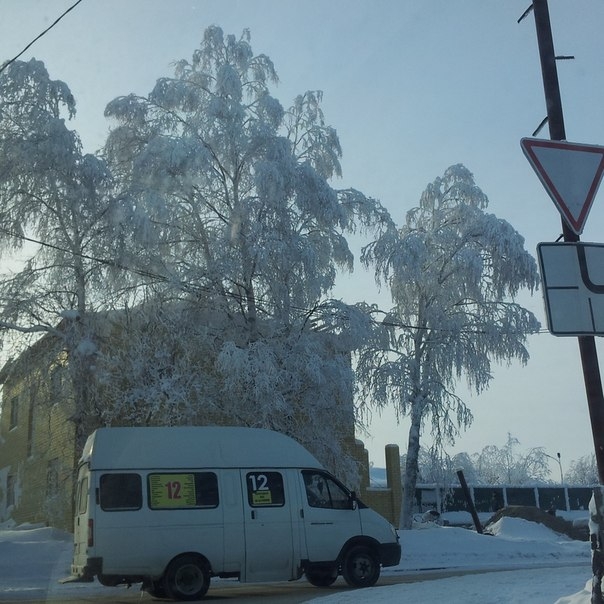 немного зимнего солнечного дня