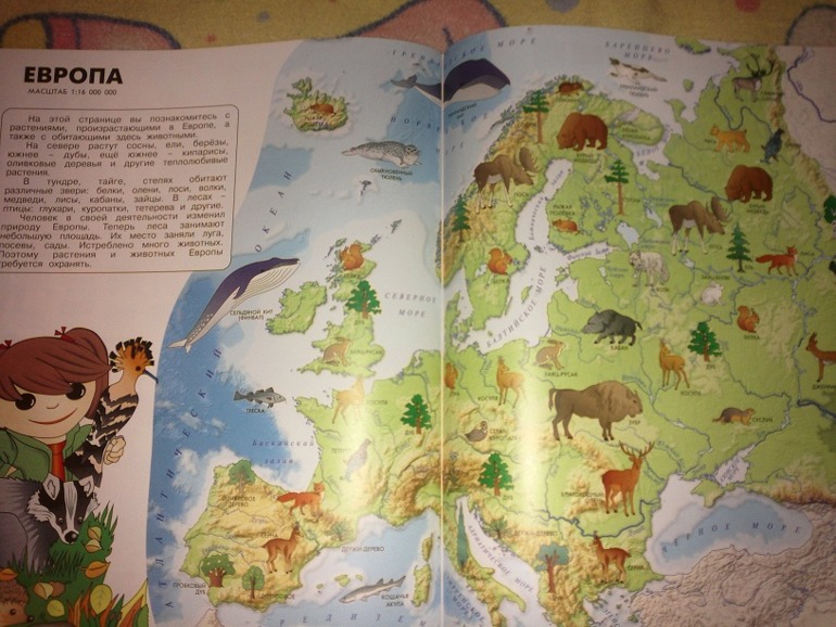Изучаем географию