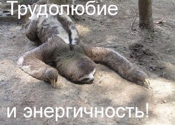 Мои недельки и настроения: 40  и 3