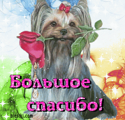 Большое спасибо Марина!