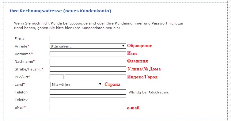 Пособие для чайников (заказ на loopoo.de)